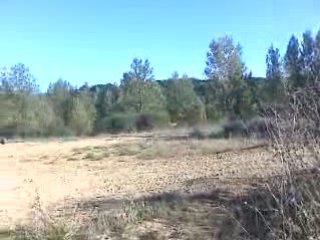 Sortie carriere quad 9