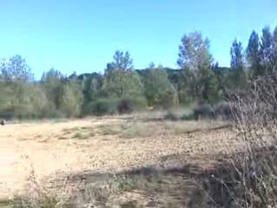 Sortie carriere quad 9