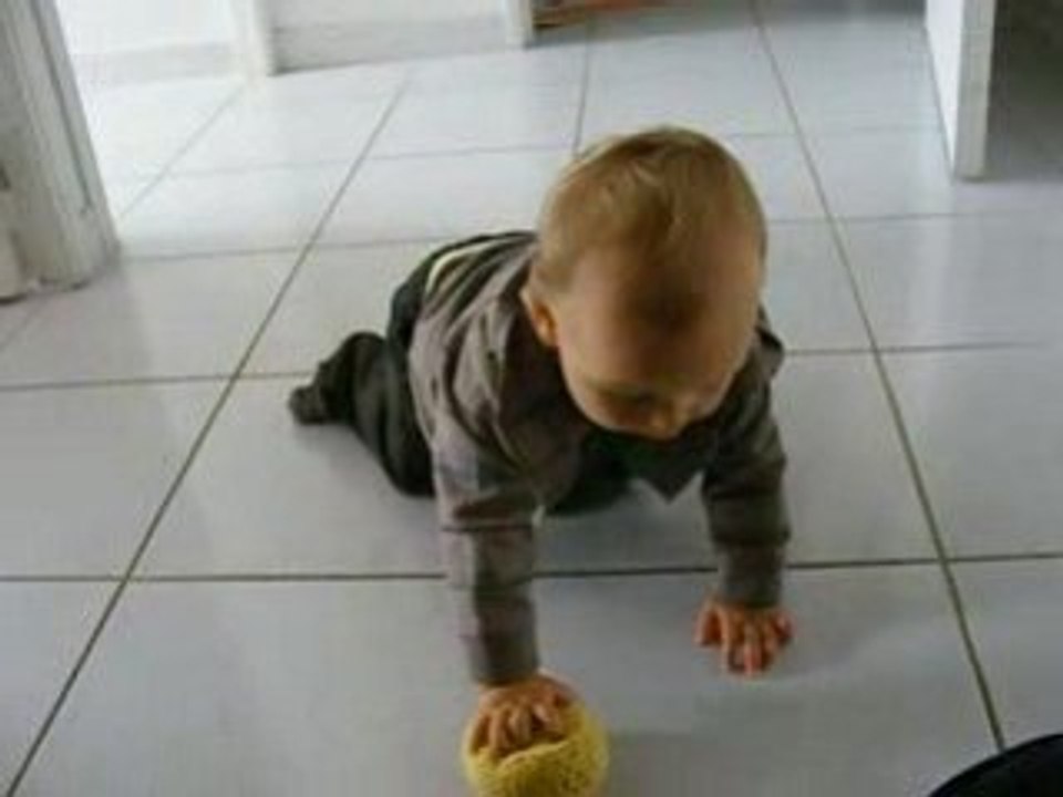 timéo à 4 pattes (2)
