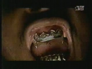 Ol' Dirty Bastard - Brooklyn Zoo