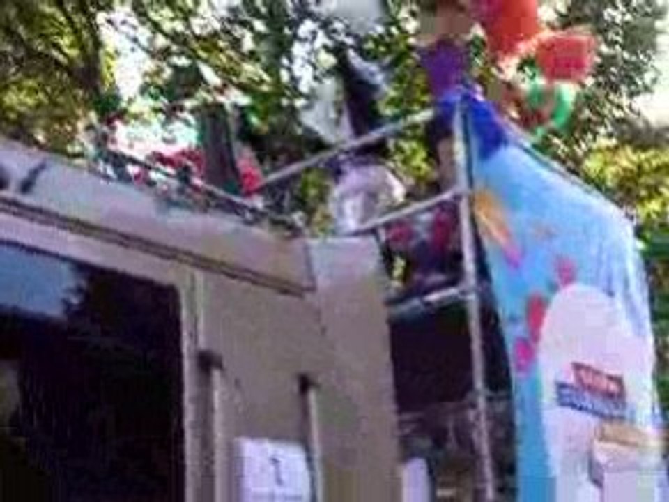 Techno Parade 2008 Partie 1