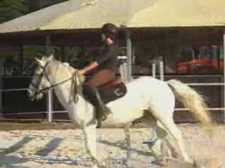 Lann Er Roch Entrainement