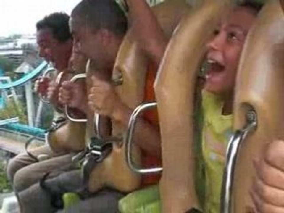 DUELING DRAGONS ROLLER COASTER