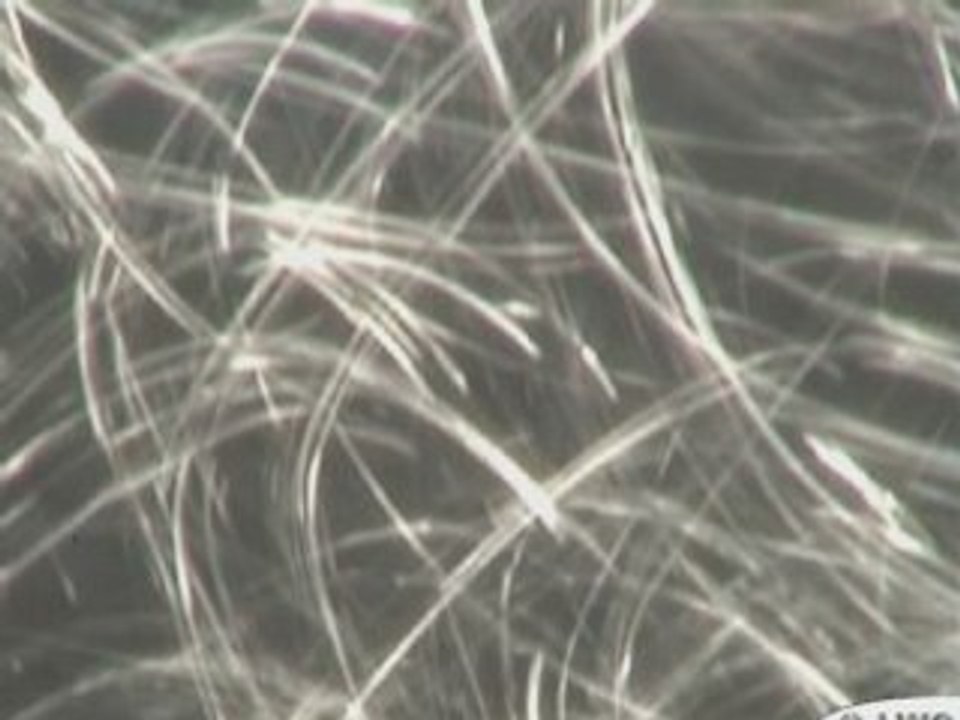 Reflets sur l'eau (Graff video by LWO 2007)