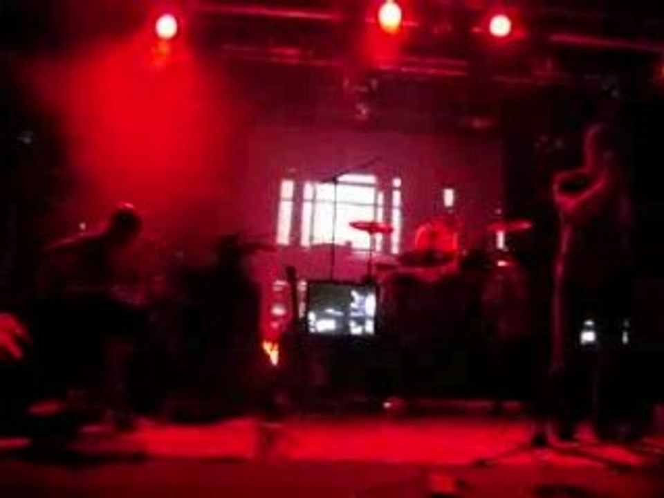 Fields of gold et Flavor par Girls in Hawaii au Mans