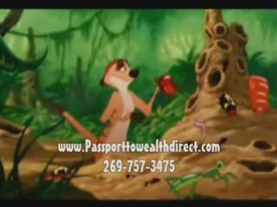 Hakuna Matata With Passporttowealthdirect.com