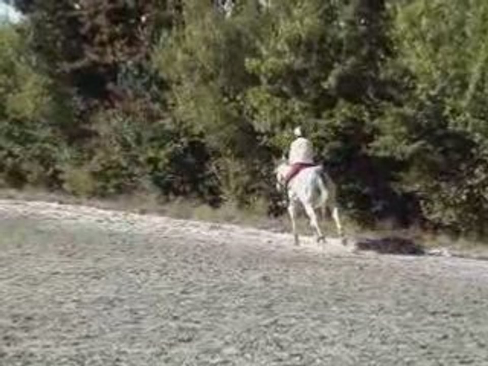 Petits galops après l'ostéo - 20-09-08