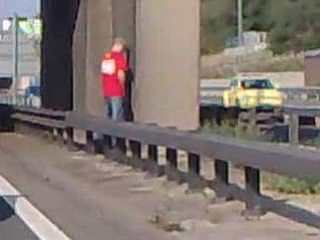 Everton Standard (Oski se soulage sur la berne centrale)