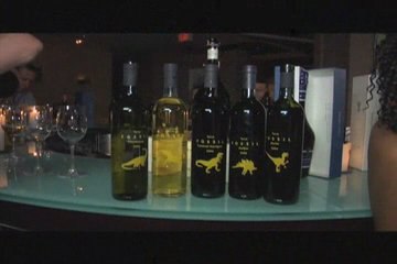 Terra Fossil TV Episode 6