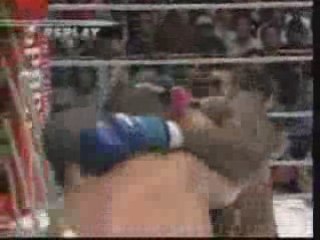 Pique Wanderlei Silva vs Rampage Jackson Highli