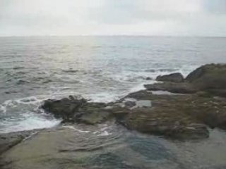 N19 Stock Trading Coach