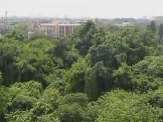 Vue du balcon