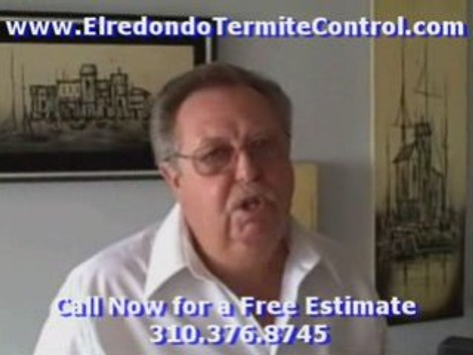 Video: Termite Pest Control Harbor City EL Redondo Free ...