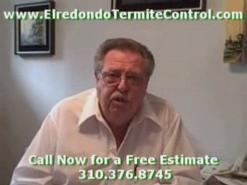 Video: Pest Control Long Beach El Redondo Free ...