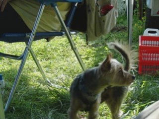 POPEY TU NOUS MANQUE