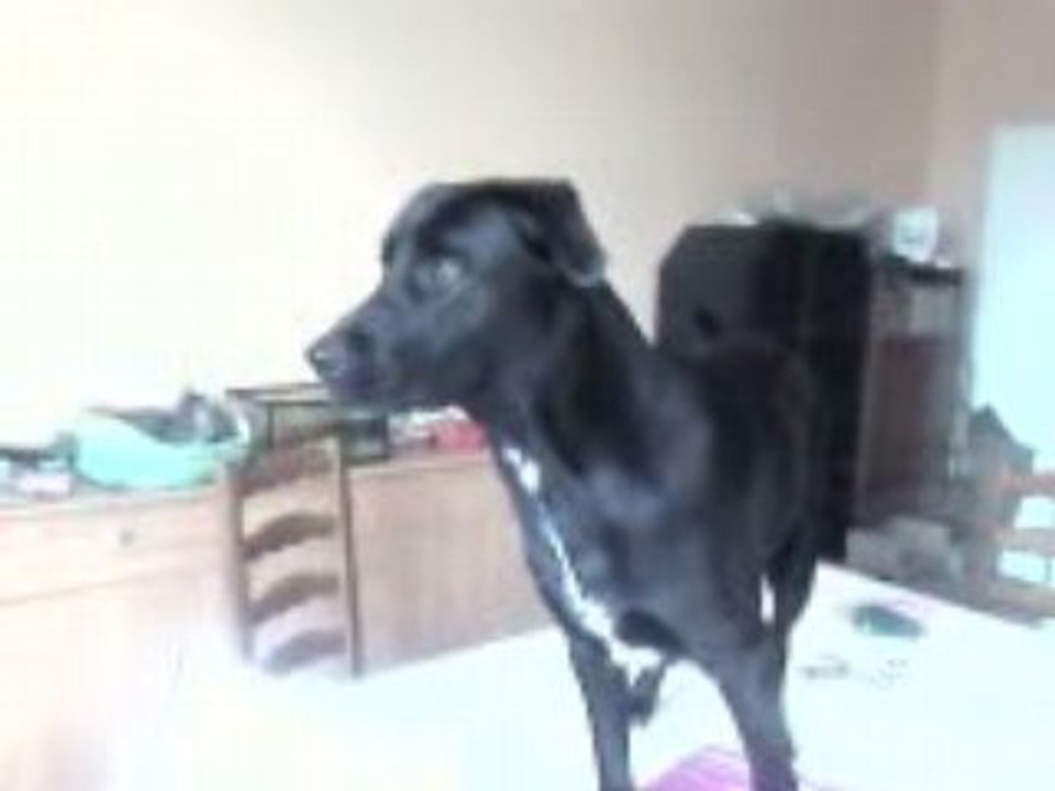 Vidéo0153