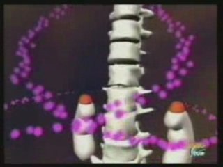 Estres y genoma: Interaccion cuerpo-mente (Matt Ridley)