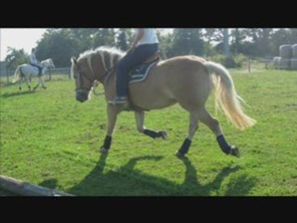 Seance de cross septembre