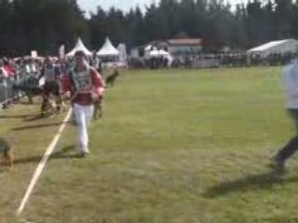 BA Nationale d'Elevage 2008