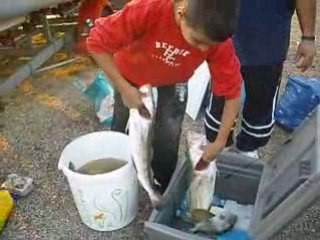 sorti peche 20-9-2008