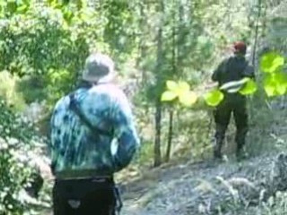 airsoft veyne