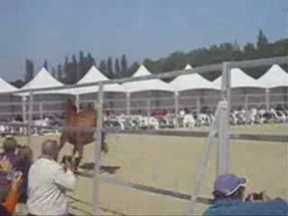 Haras de la Cense 3