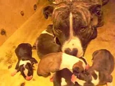 Sa maman,ses freres et ses soeurs