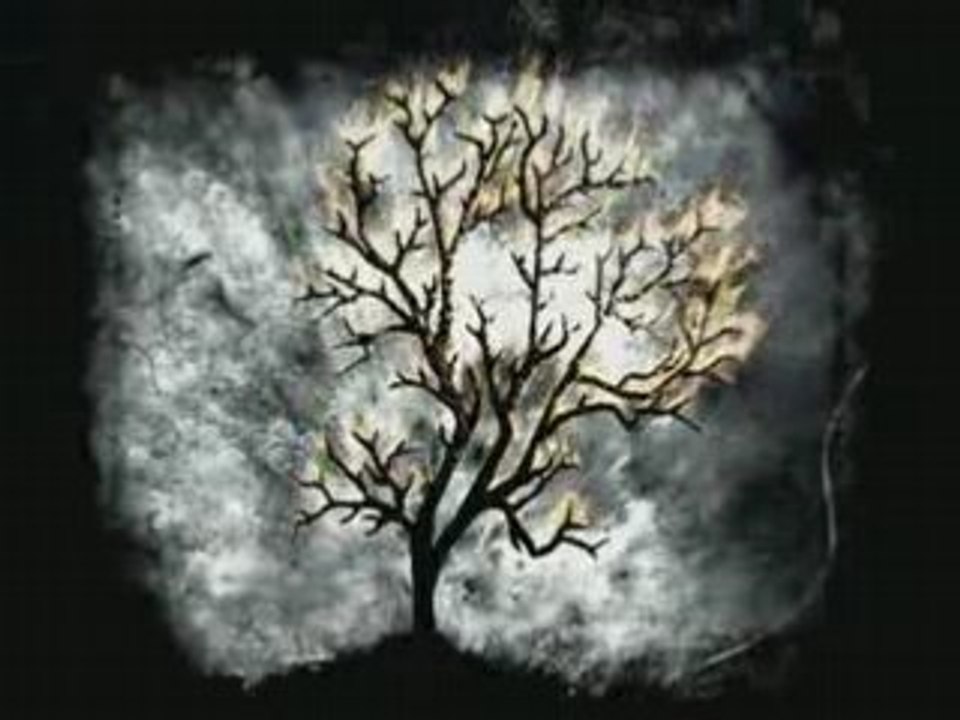 The Ring - Das Video!