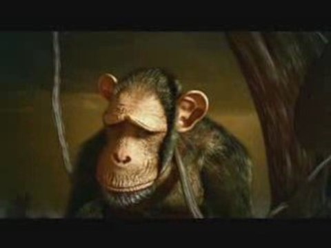 Quercus - Stop Global Warming