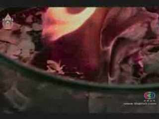 Ncauj Ntxub Nplooj Siab Hlub 1.01