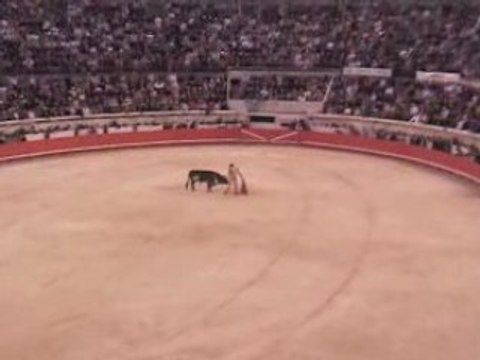 Sébastien Castella seul contre..7