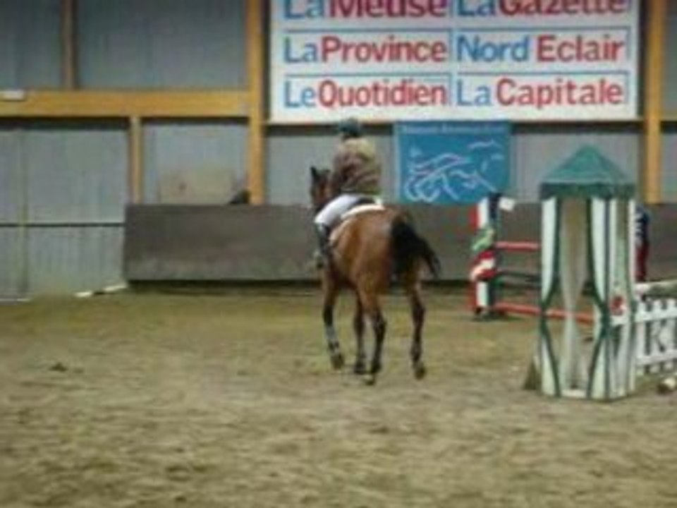 cheval concours