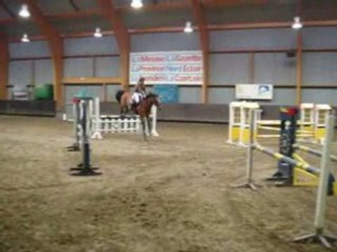cheval concours