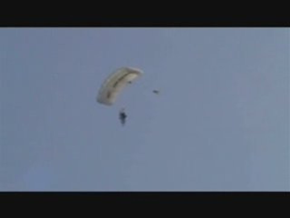 Fly_Patty
