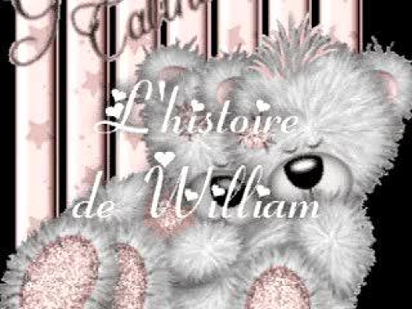 Histoire de Will
