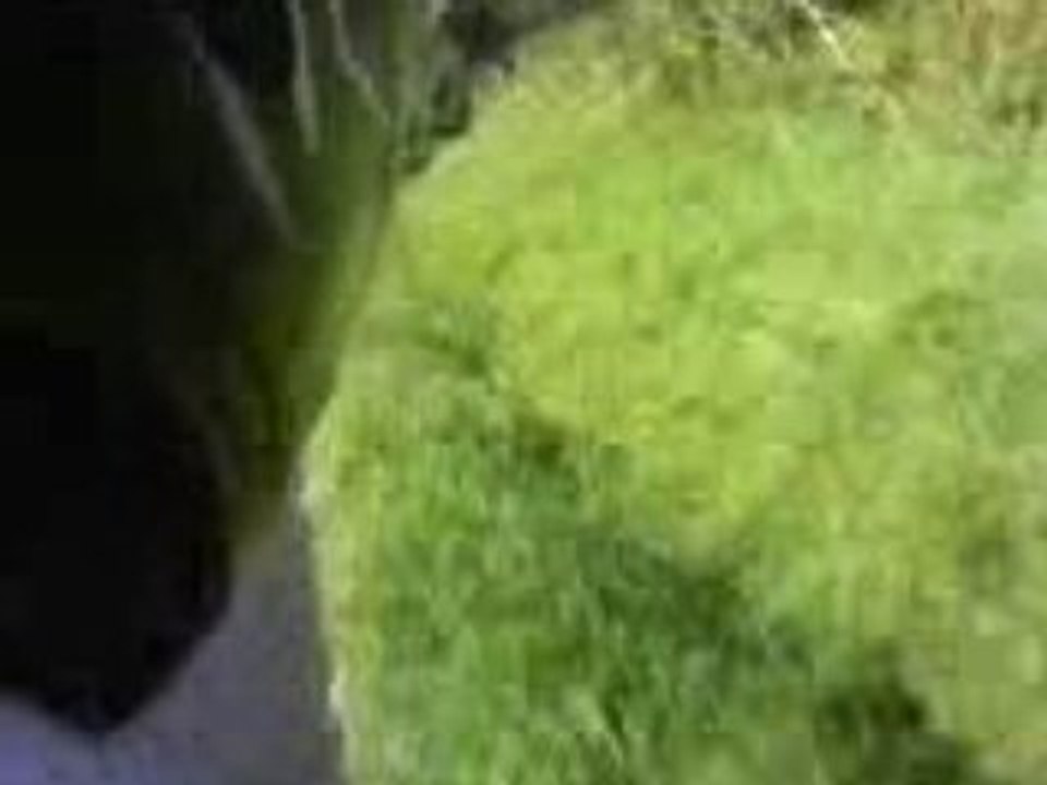 Vidéo91
