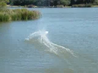 bandit christophe plesse 21 09