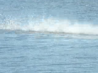 bandit christophe   plesse   .