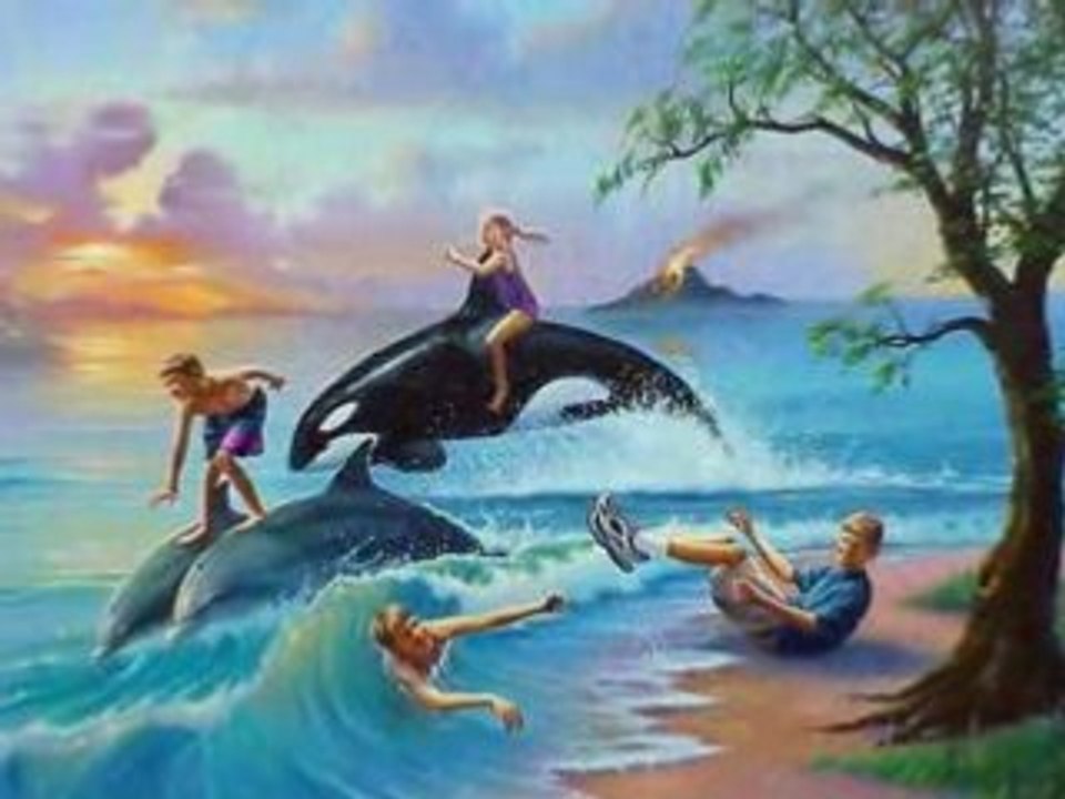 Animeaux divers