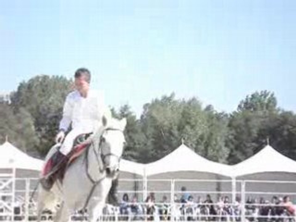 Christophe Chaussy et ses camargues + voltigeurs