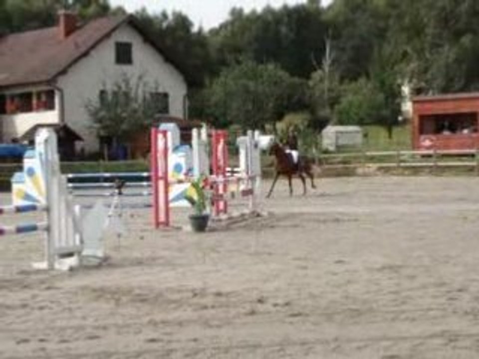 MOV01383