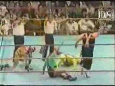 Mascaras vs Mascaras- Trio Fantasia y C2000 vs Tortugas Ninj