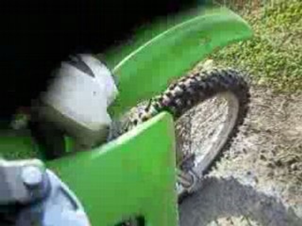 apollo dans le champ de blé