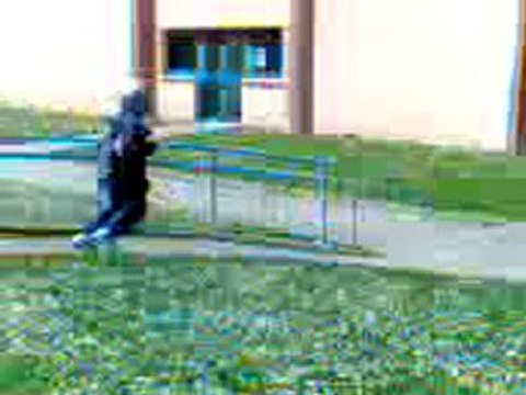 Tii Pd Quii Faiit Dla Moto