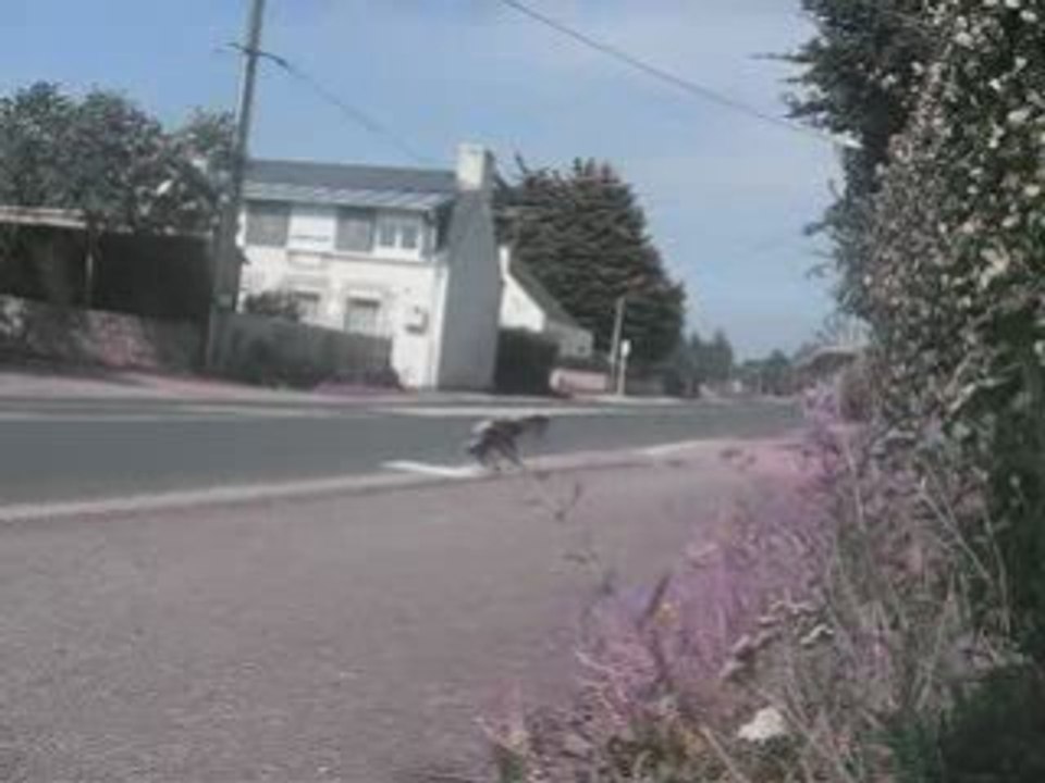 SansTitre_0001