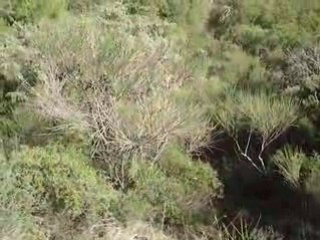 Sergio qui met plus de gaz!! le 21.09.08