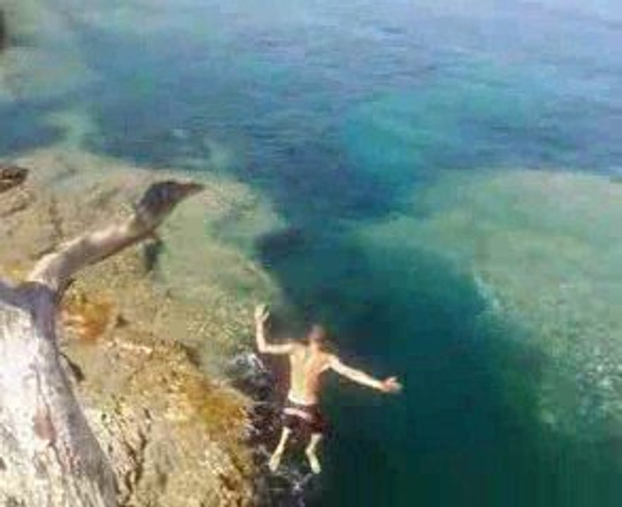 Saut de 8 metres