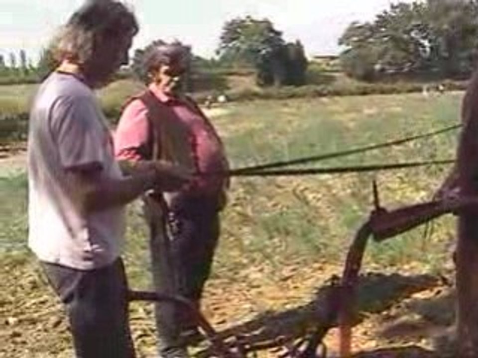 Le travail du cheval