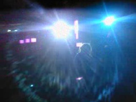 Teuf BZH . 716 Mandragore Arlek1