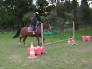 Prochainement sur les terrains de concours